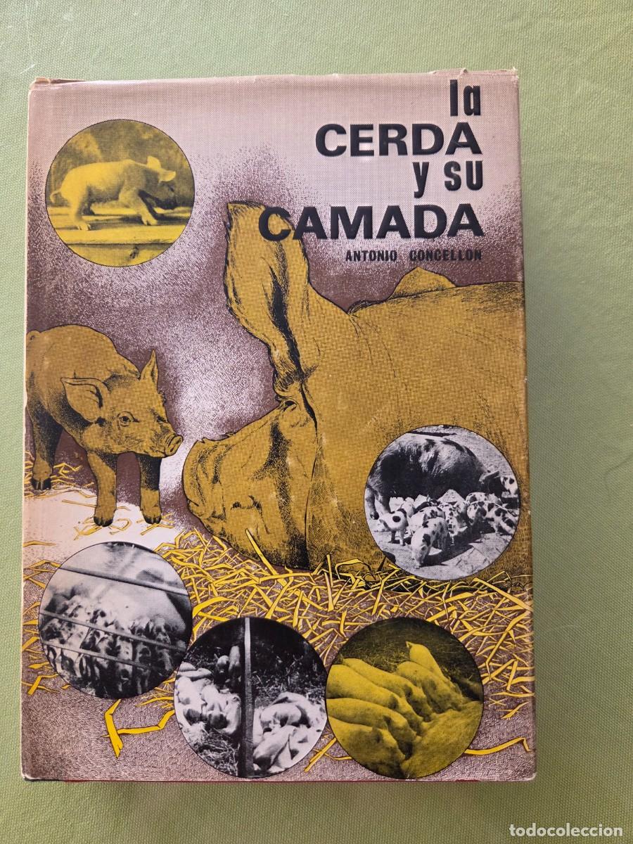 Libros de segunda mano: LA CERDA Y SU CAMADA / A. CONCELL&Oacute;N MART&Iacute;NEZ / BIBLIOTECA AGR&Iacute;COLA AEDOS, 1970 / ILUSTRADO