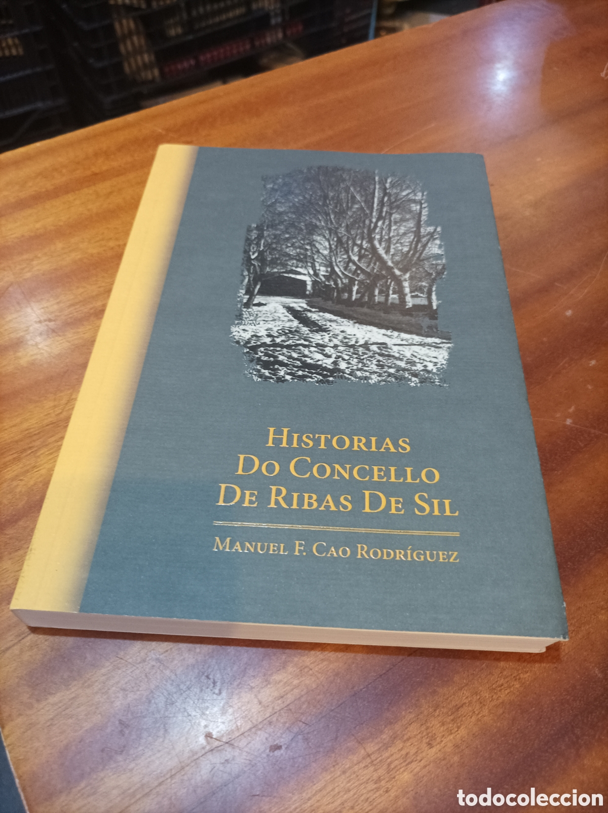 Libros de segunda mano: HISTORIA DO CONCELLO DE RIBAS DE SIL.MANUEL F CAO RODR&Iacute;GUEZ.2023