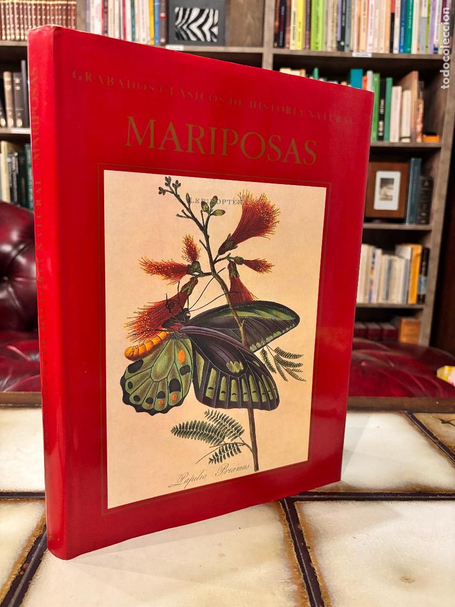 Libros de segunda mano: Mariposas. Grabados de historia natural. S. Peter Dance / E. Geoffrey Hancock.