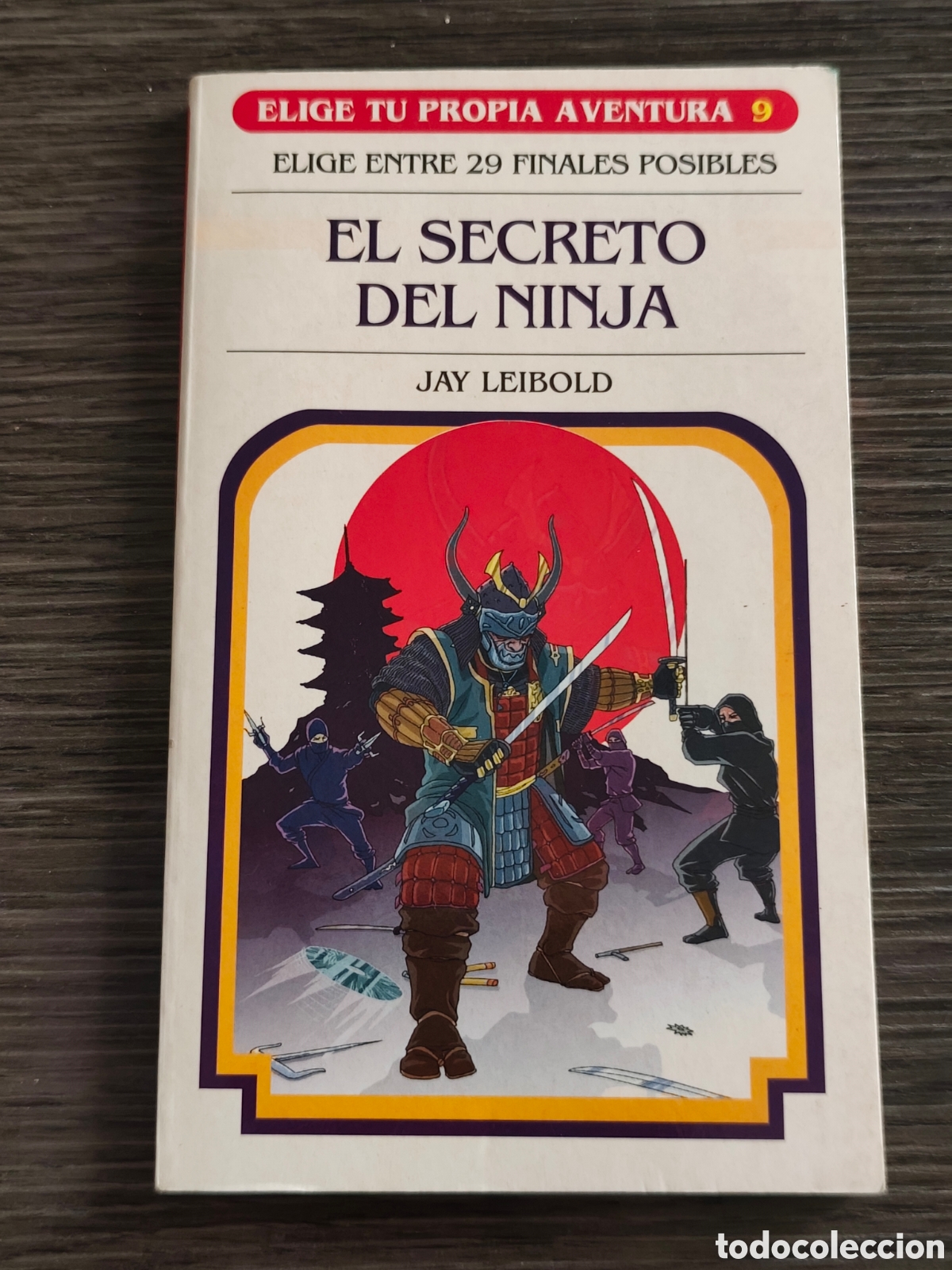 Libros de segunda mano: El secreto del Ninja Jay leibold elige t&uacute; propia aventura 9