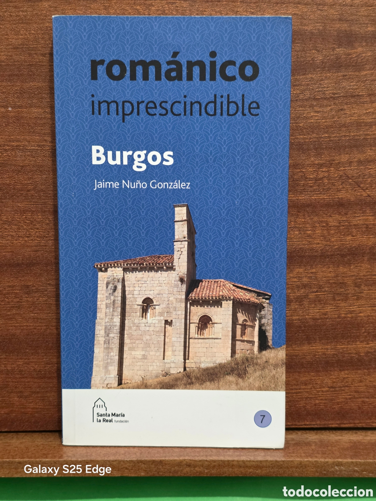 Libros de segunda mano: &rdquo;&rdquo;ROM&Aacute;NICO IMPRESCINDIBLE, BURGOS&rdquo;&rdquo;...JAIME NU&Ntilde;EZ GONZ&Aacute;LEZ...PRIMERA EDICION...2024...