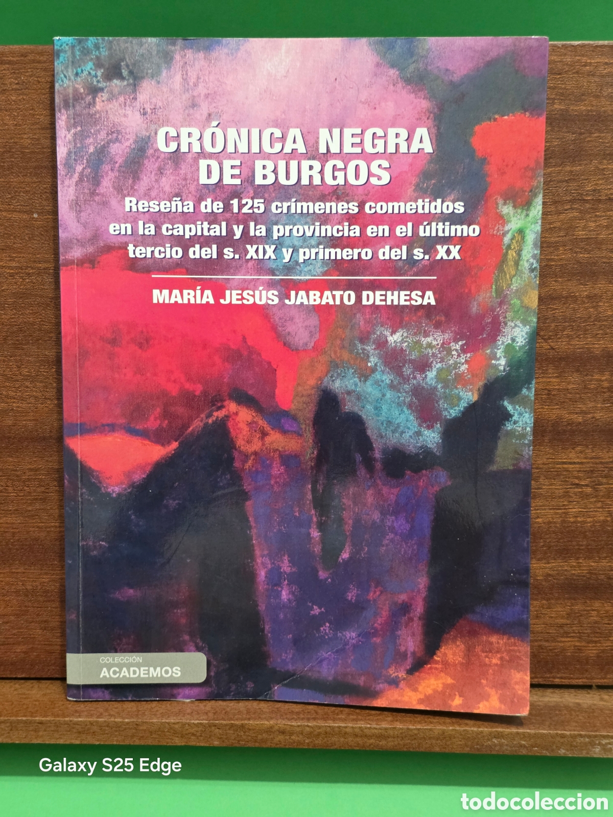 Libros de segunda mano: &rdquo;&rdquo;CR&Oacute;NICA NEGRA DE BURGOS, RESE&Ntilde;A DE 125 CR&Iacute;MENES CONETIDOS EN LA CAPITAL Y LA PROVINCIA &rdquo;&rdquo;..2019...