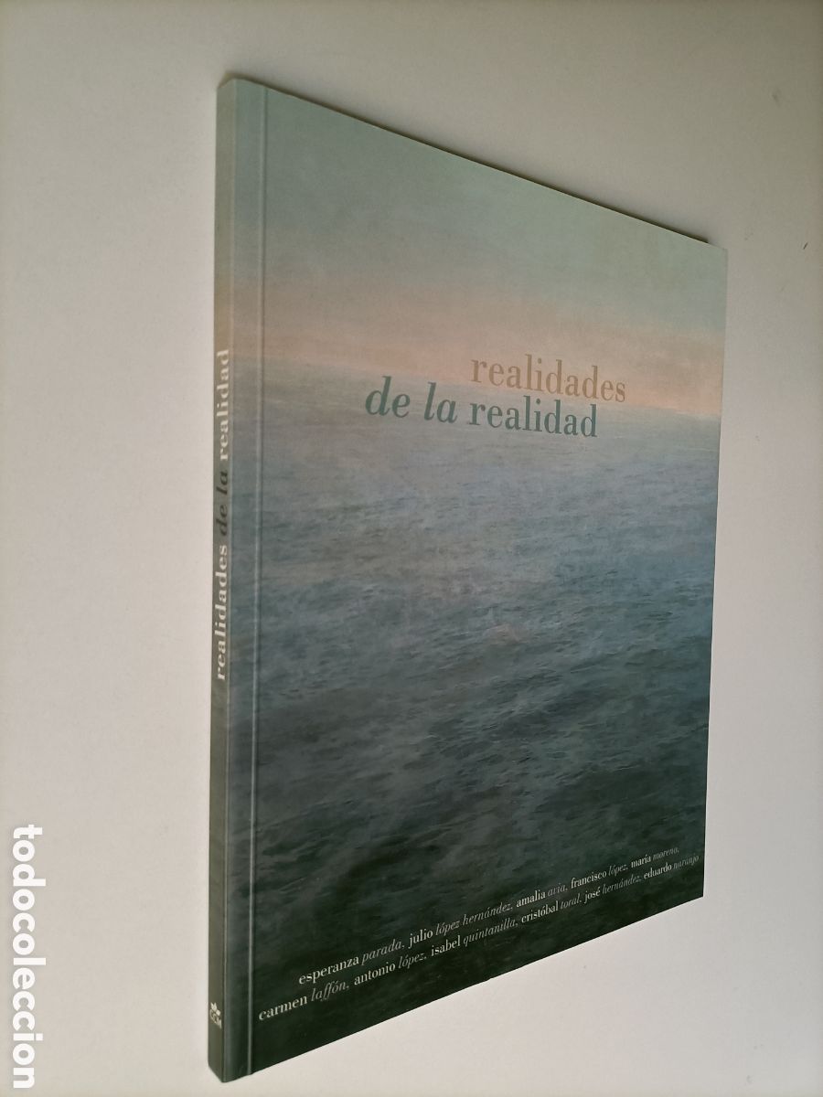 Libros de segunda mano: Realidades de la realidad. Exposici&oacute;n de realistas caja Castilla-La Mancha. Arte siglo XX