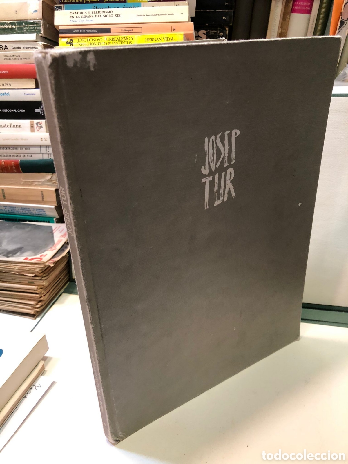 Libros de segunda mano: Josep Tur - Mario &Aacute;ngel Marrod&aacute;n