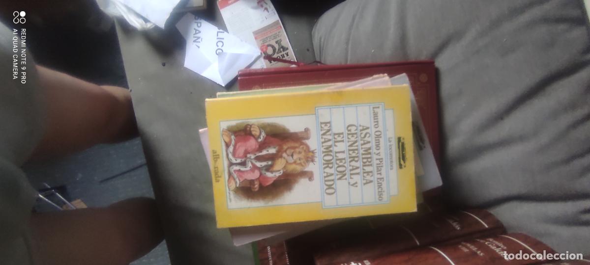Libros de segunda mano: ASAMBLEA GENERAL / EL LEON ENAMORADO - LAURO OLMO Y PILAR ENCISO - ALBORADA - 1988
