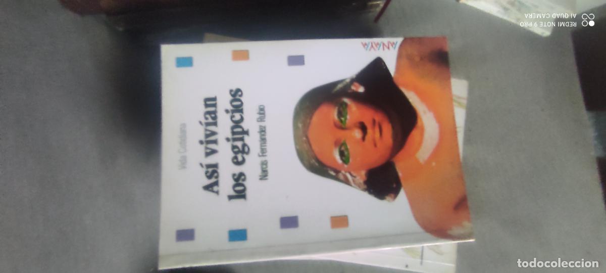Libros de segunda mano: AS&Iacute; VIVIAN LOS EGIPCIOS - VIDA COTIDIANA - NARCIS FERNANDEZ - ANAYA EDITORIAL 1995 / ILUSTRADO