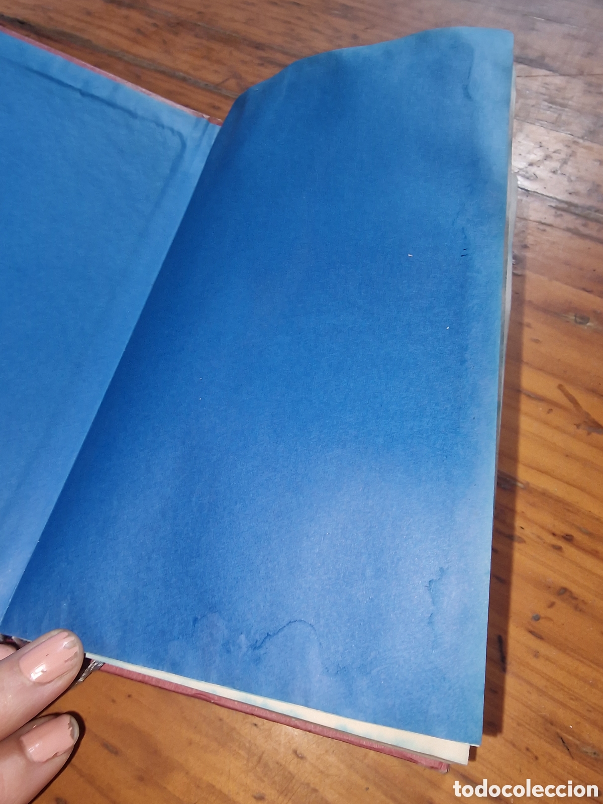 Libros de segunda mano: Libro de Tom sharpe t&iacute;tulo animo wilt,a&ntilde;o 1989 - Foto 2