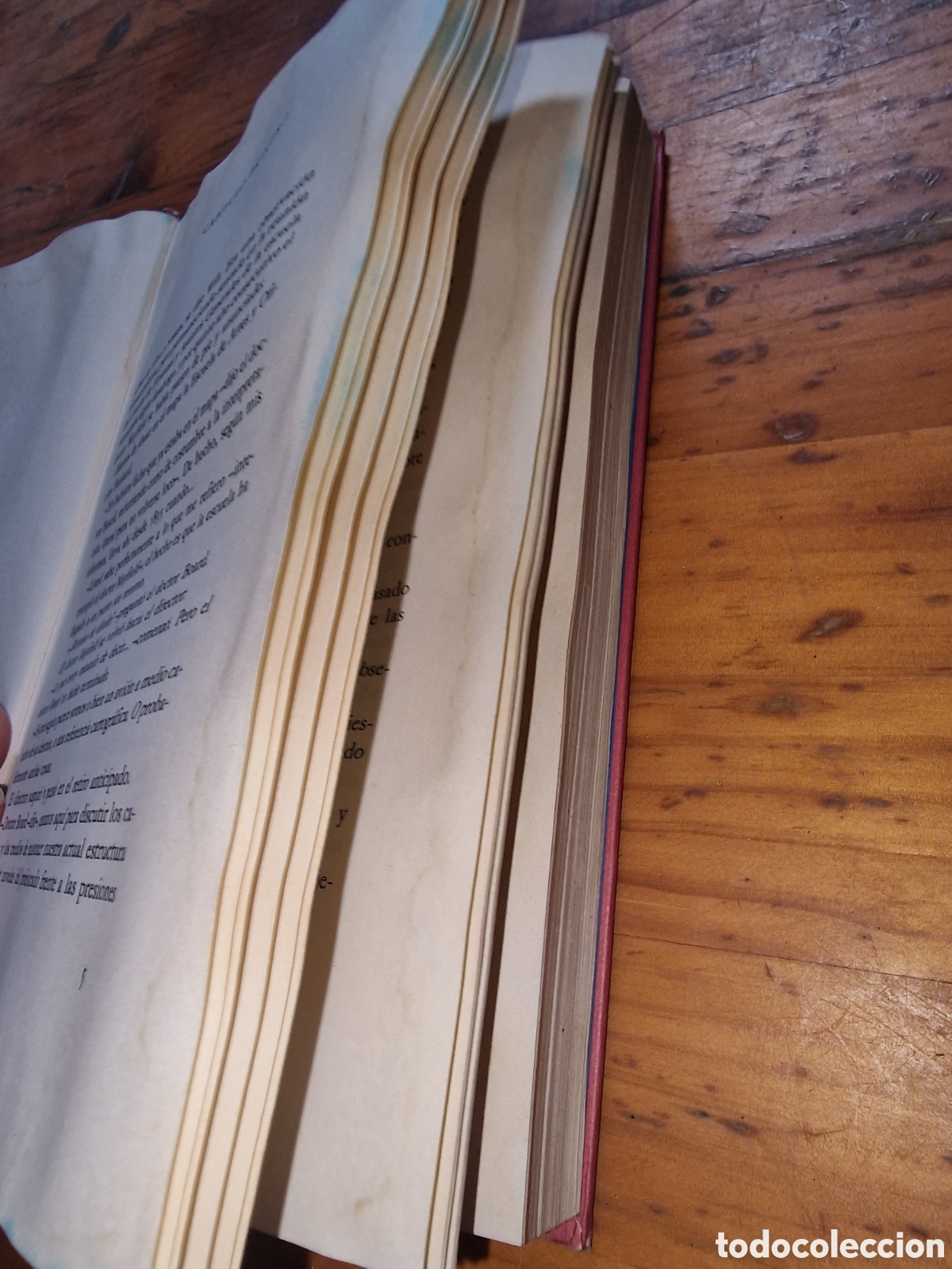 Libros de segunda mano: Libro de Tom sharpe t&iacute;tulo animo wilt,a&ntilde;o 1989 - Foto 5