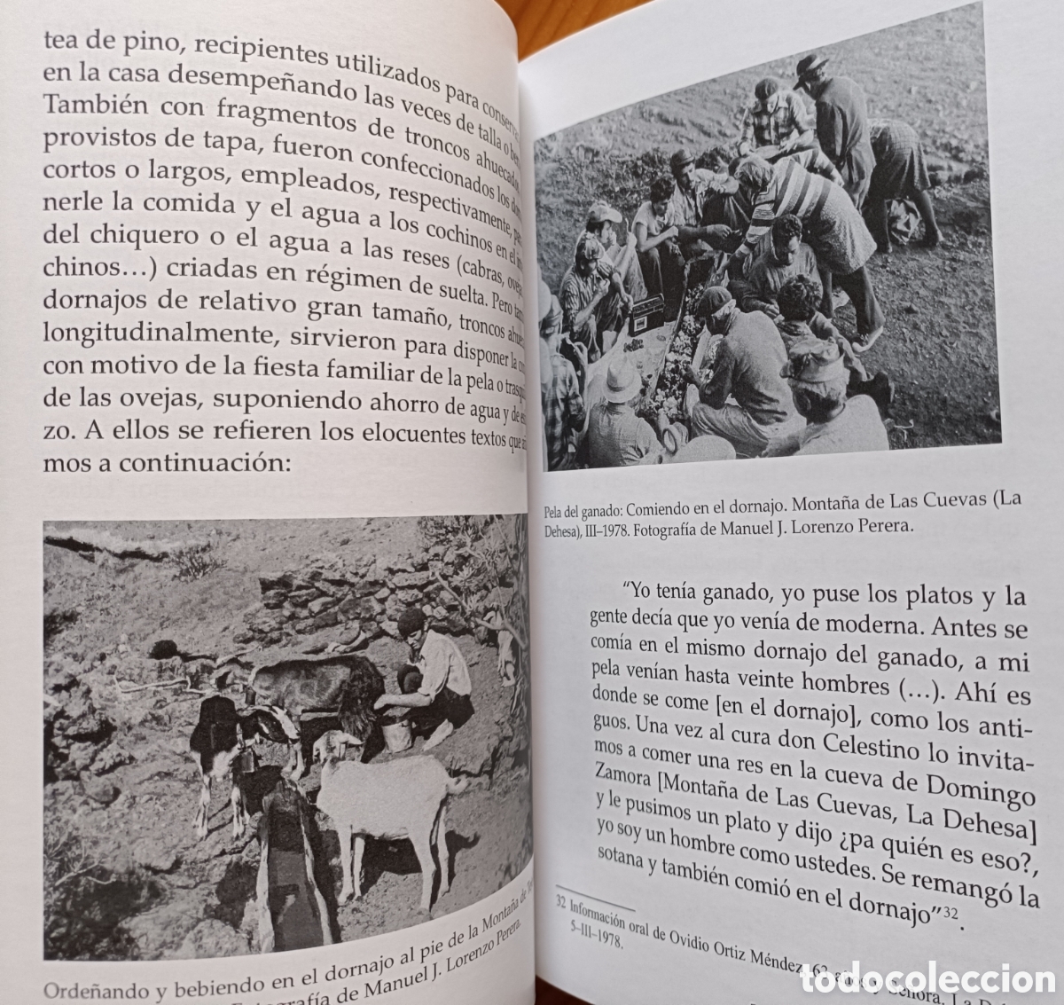 Libros de segunda mano: LAS OLLERAS. LA CER&Aacute;MICA POPULAR DE LA ISLA DE EL HIERRO - Foto 7