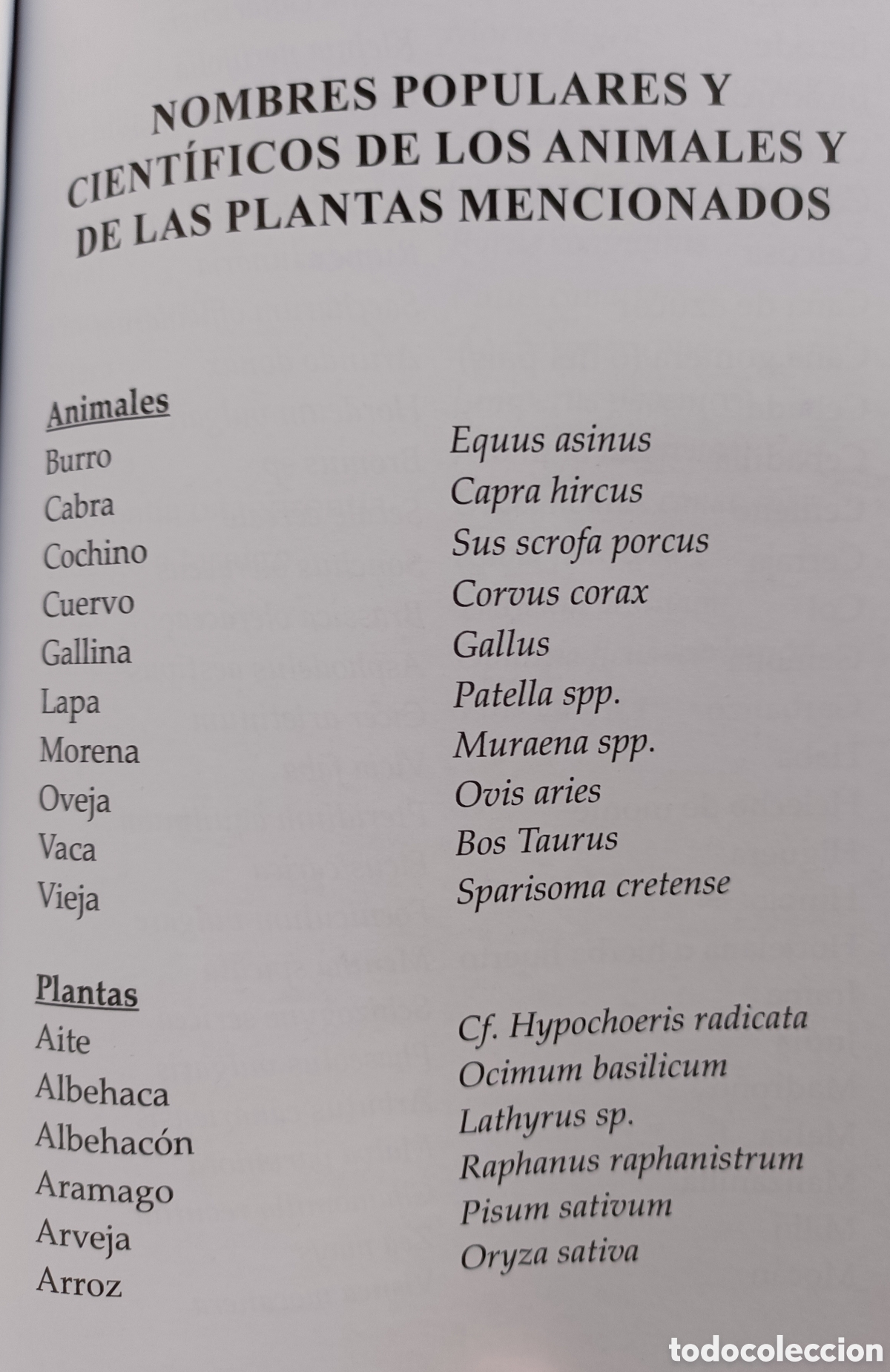 Libros de segunda mano: LAS OLLERAS. LA CER&Aacute;MICA POPULAR DE LA ISLA DE EL HIERRO - Foto 11