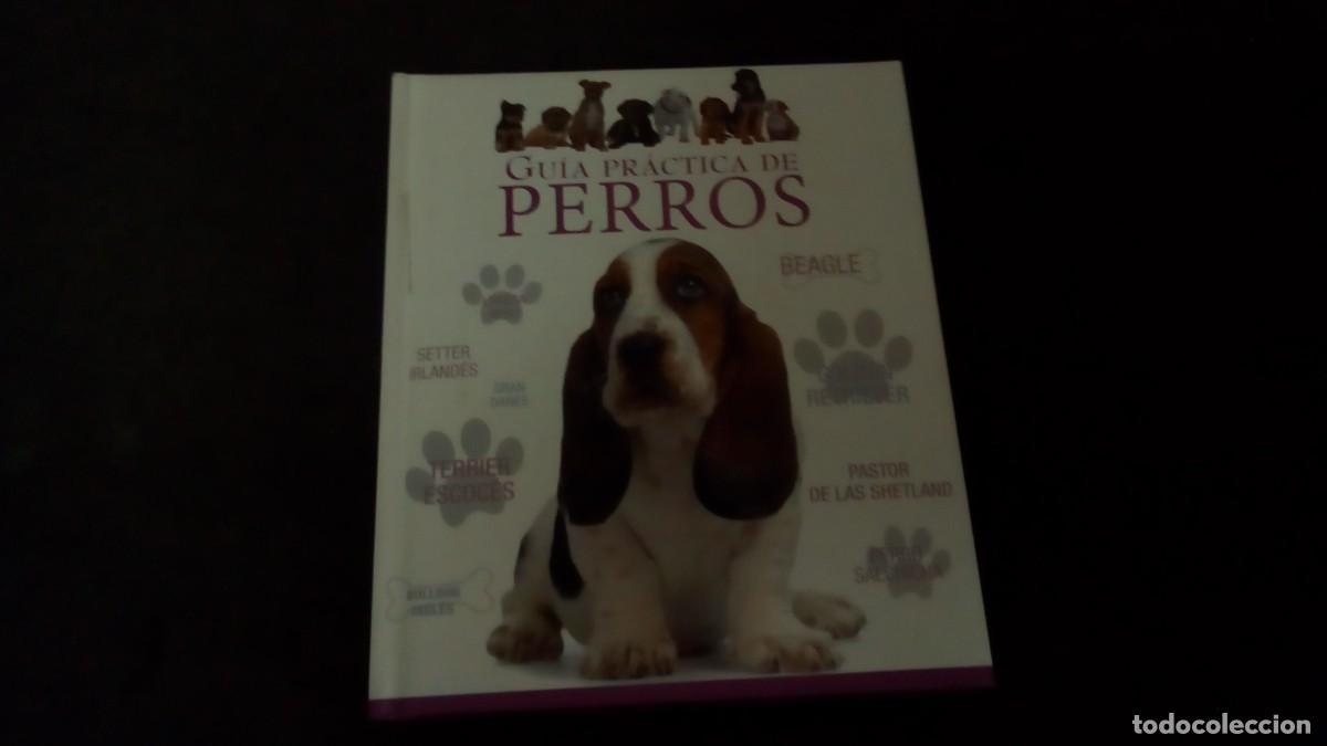 Libros de segunda mano: GU&Iacute;A PR&Aacute;CTICA DE PERROS - Banks, Edward-COMO NUEVO-TAPA DURA
