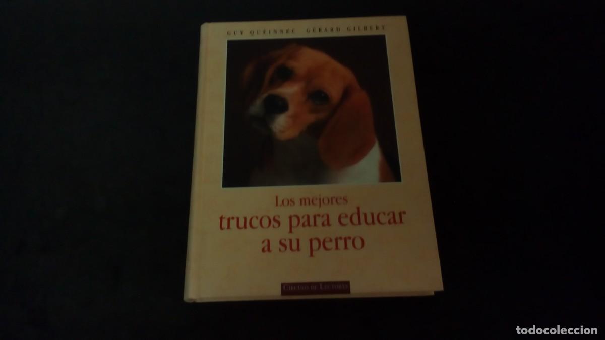 Libros de segunda mano: LOS MEJORES TRUCOS PARA EDUCAR A SU PERRO. GUY QUEINNEC / GERARD GILBERT. 1997