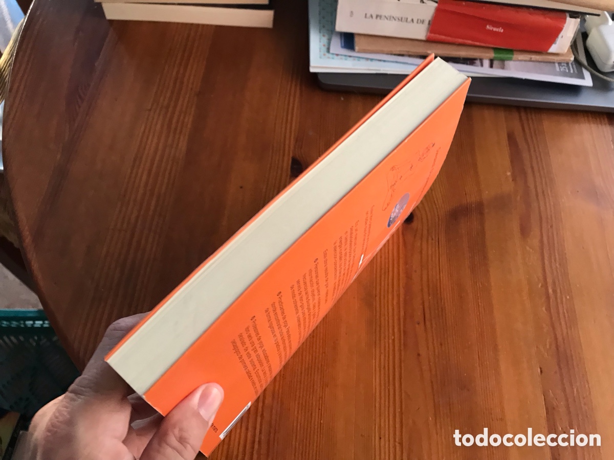 Libros de segunda mano: Claves del yoga. Teor&iacute;a y pr&aacute;ctica. Danilo Hern&aacute;ndez. La liebre de marzo - Foto 2