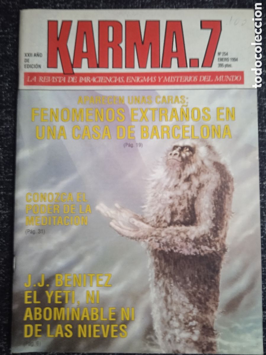 Libros de segunda mano: KARMA 7 N&ordm; 254 PARAPSICOLOGIA, OVNIS, ESPIRITISMO, ASTROLOGIA, MAGIA