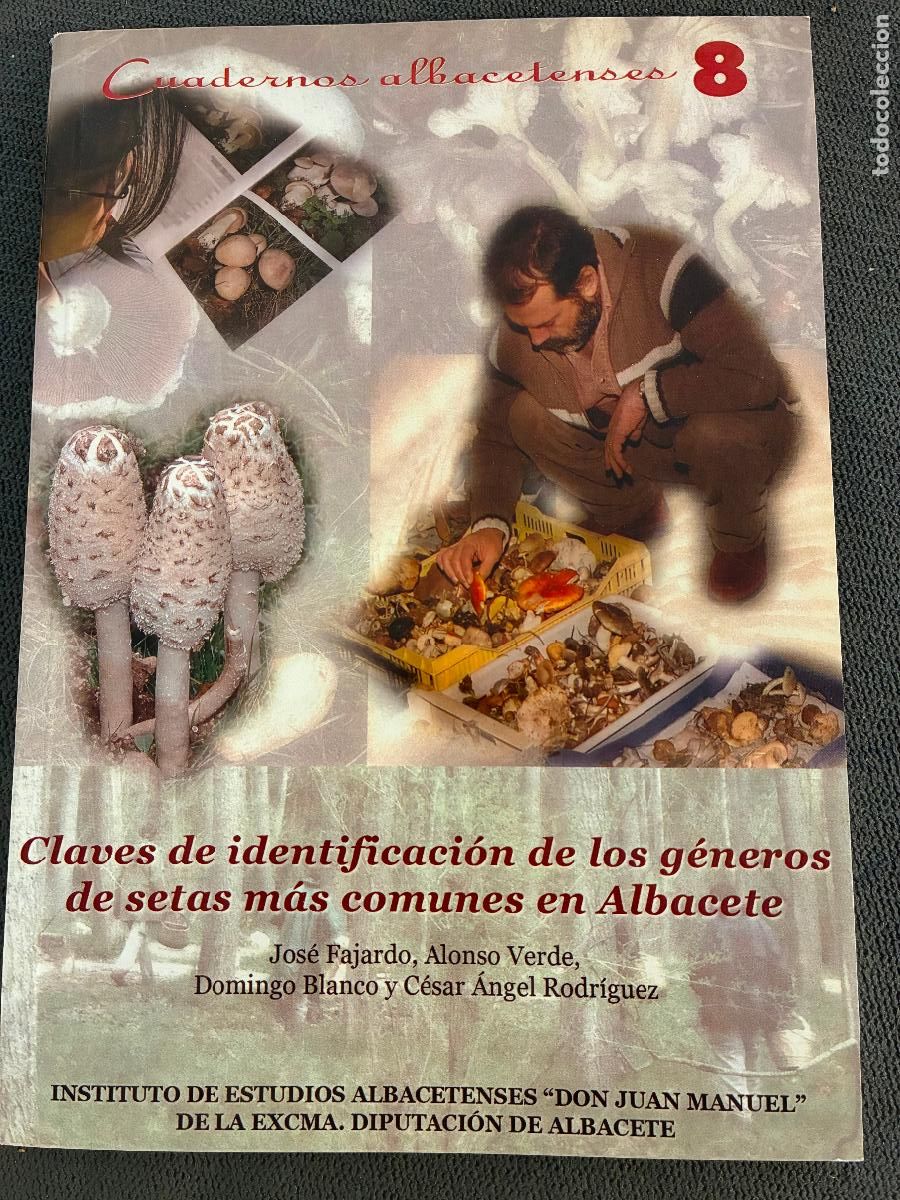 Libros de segunda mano: Claves de identificaci&oacute;n de las g&eacute;neros de setas mas comunes de Albacete Jos&eacute; Fajardo,Alonso Verde