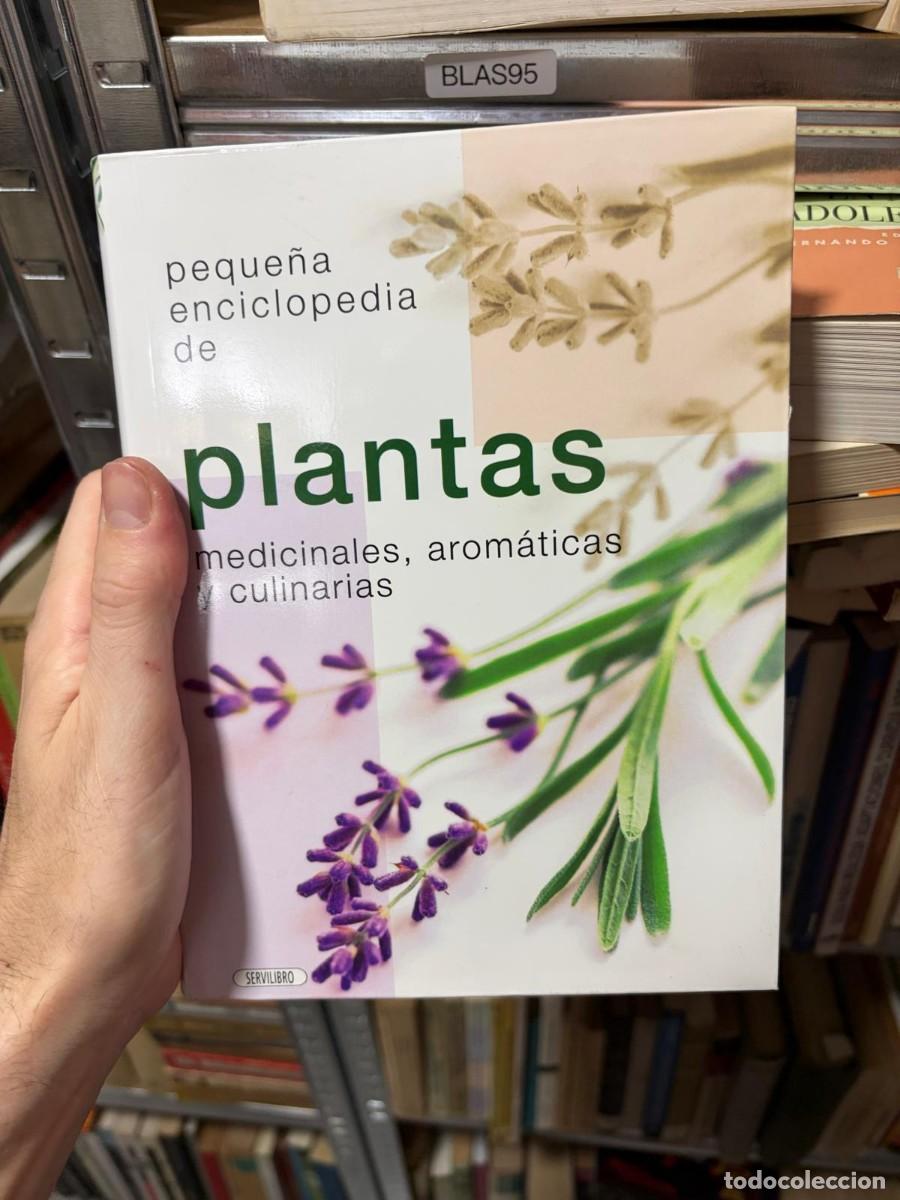 Libros de segunda mano: BLAS95 Peque&ntilde;a enciclopedia de plantas medicinales, arom&aacute;ticas y culinarias Servilibro