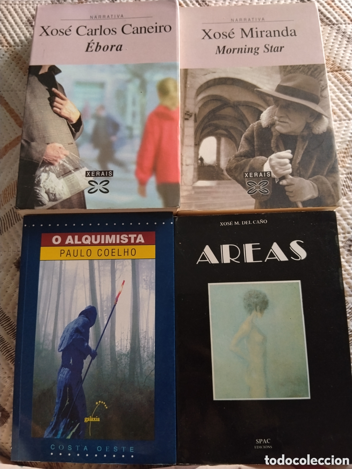 Libros de segunda mano: Lote 12 Libros en Galego