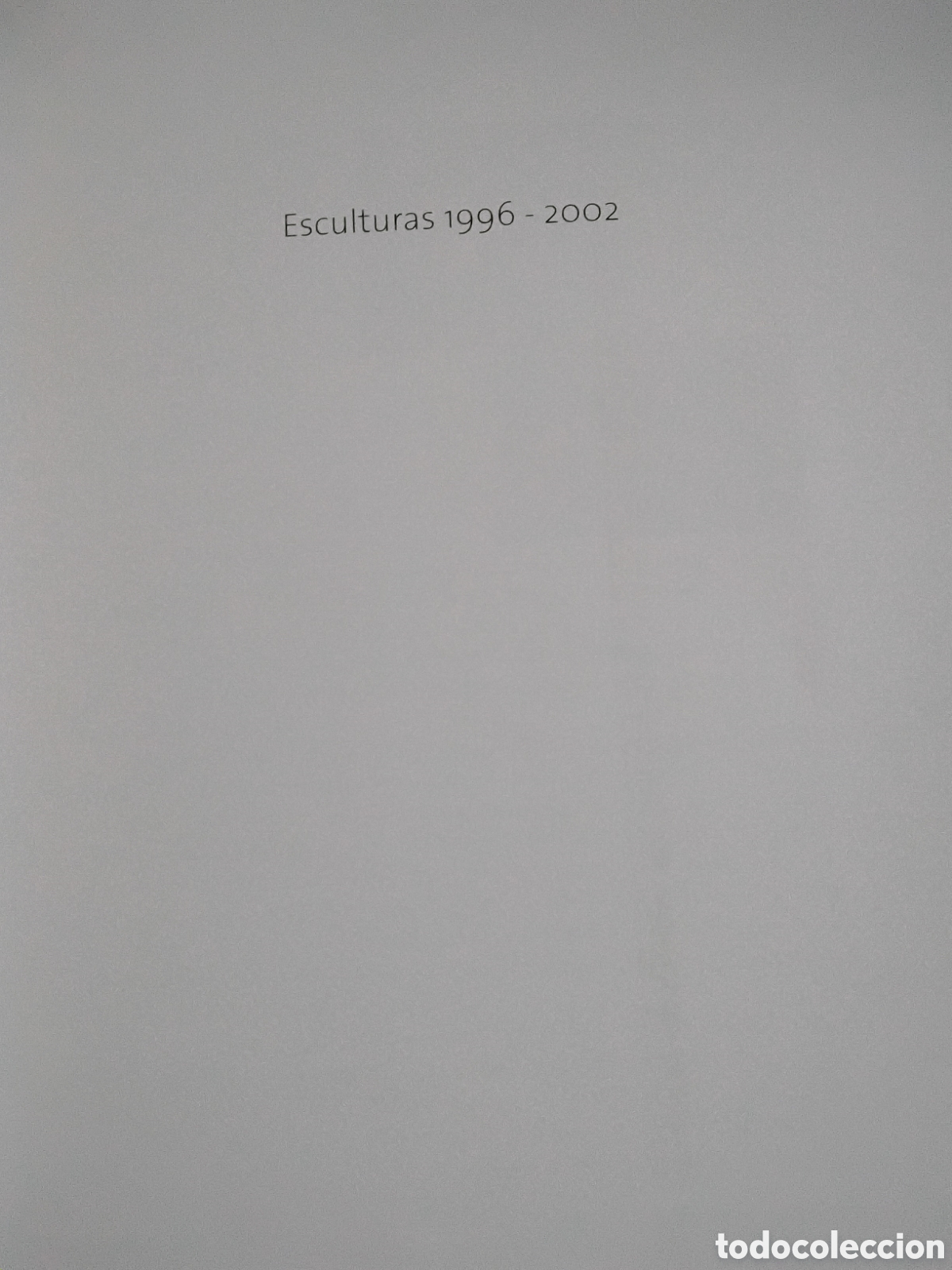 Libros de segunda mano: ERNESTO KNORR. ESCULTURAS:1996-2002 - Foto 2