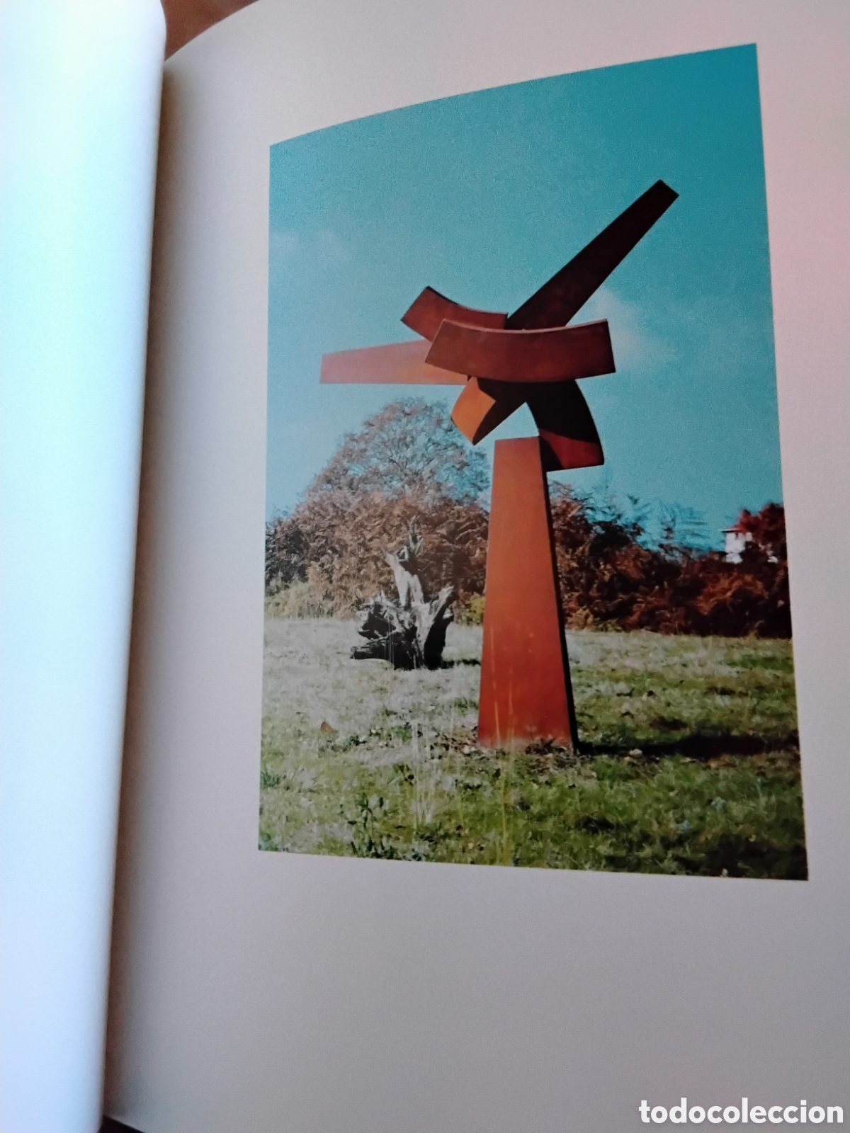 Libros de segunda mano: ERNESTO KNORR. ESCULTURAS:1996-2002 - Foto 6