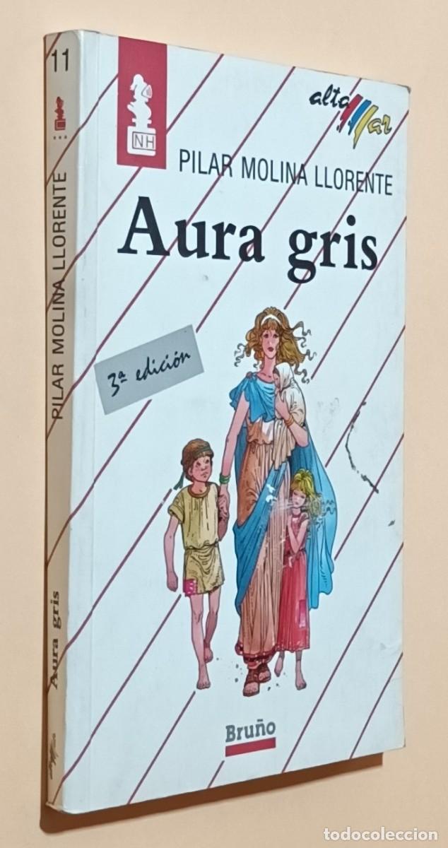 Libros de segunda mano: AURA GRIS - PILAR MOLINA LLORENTE - BRU&Ntilde;O - 1990 - Foto 1