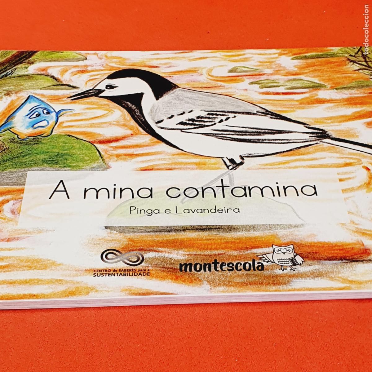 Libros de segunda mano: CUENTO-A MINA CONTAMINA--PINGA E LAVANDEIRA-MONTESCOLA-EXCELENTE-VER FOTOGRAF&Iacute;AS.