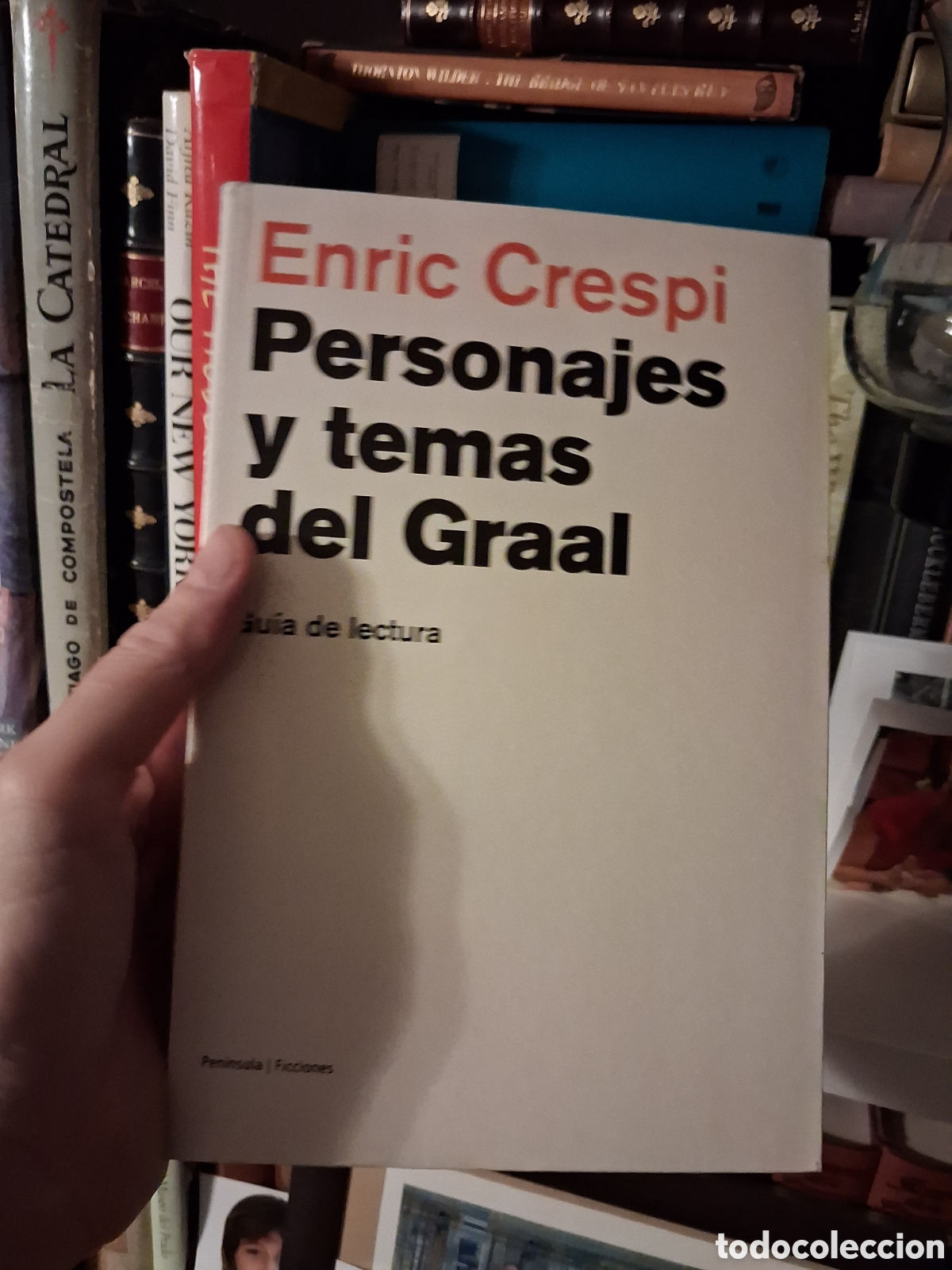 Libros de segunda mano: Personajes y temas del Graal, Enric Crespi