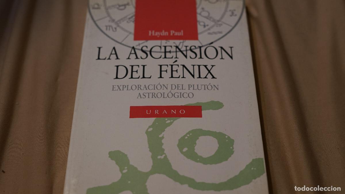 Libros de segunda mano: Haydn Paul - La ascensi&oacute;n del F&eacute;nix - Exploraci&oacute;n del Plut&oacute;n astrol&oacute;gico - Urano 1991