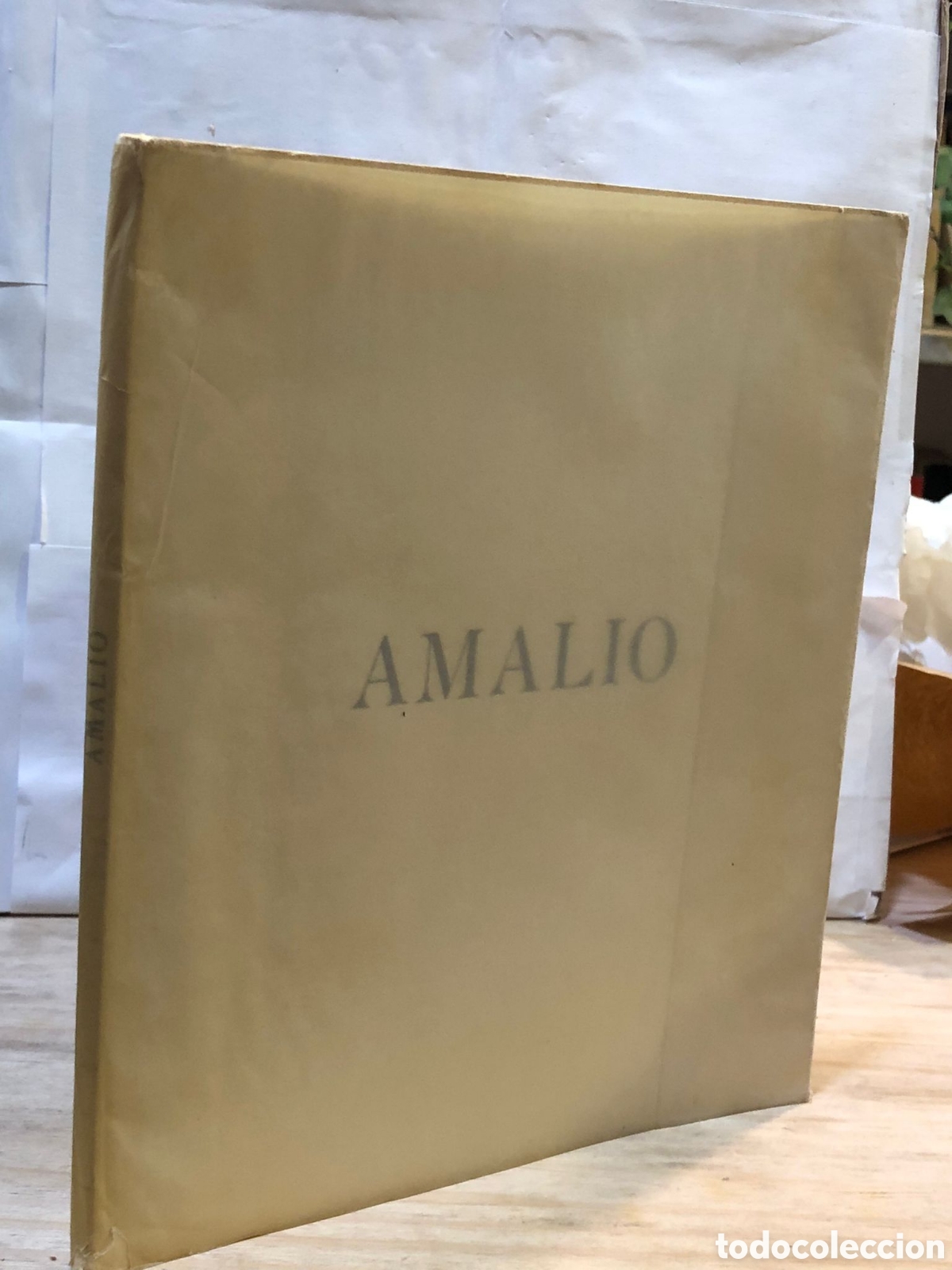Libros de segunda mano: Amalio (Bellas artes)