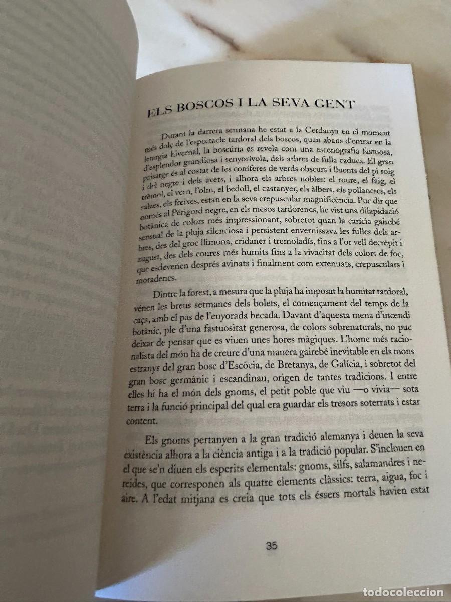 Libros de segunda mano: MITES LLEGENDES CREENCES - RECULL D ARTICLES DE N&Egrave;STOR LUJ&Aacute;N - Foto 4