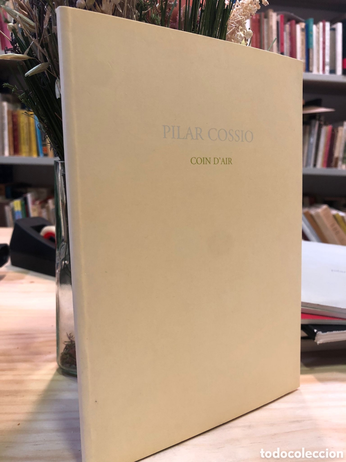 Libros de segunda mano: Coin d'air - Pilar Coss&iacute;o