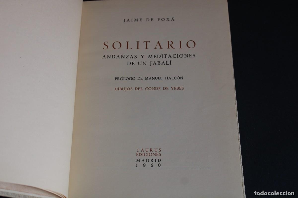 Libros de segunda mano: SOLITARIO / JAIME DE FOXA / TAURUS EDICIONES / 1960 - Foto 5