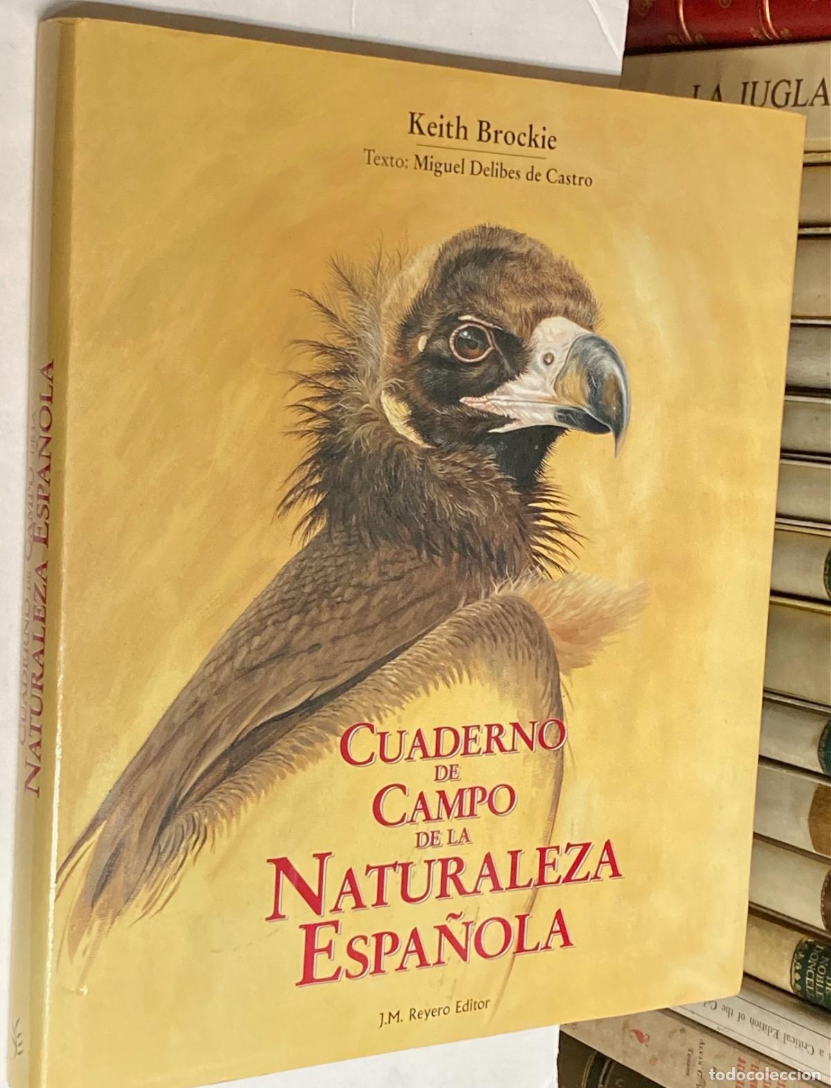 Libros de segunda mano: A&Ntilde;O 1995 - CUADERNO DE CAMPO DE LA NATURALEZA ESPA&Ntilde;OLA POR KEITH BROCKIE - LIBRO MUY ILUSTRADO