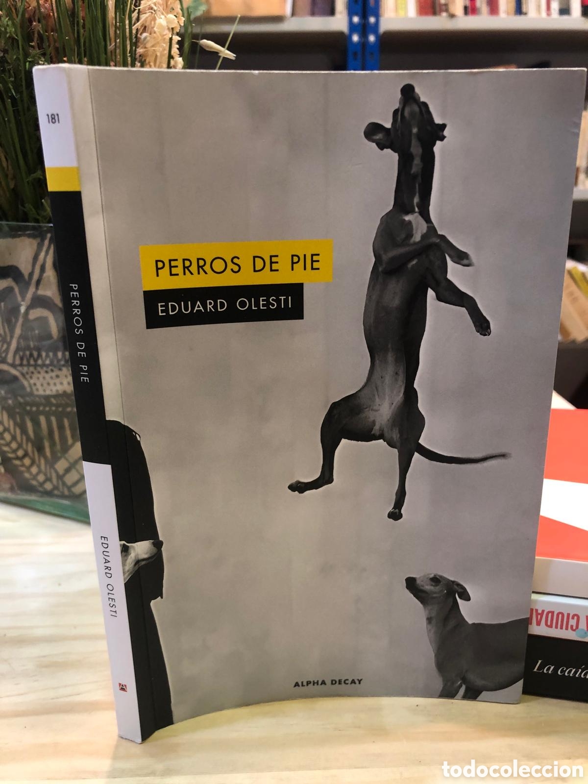 Libros de segunda mano: Perros de pie - Eduard Olesti