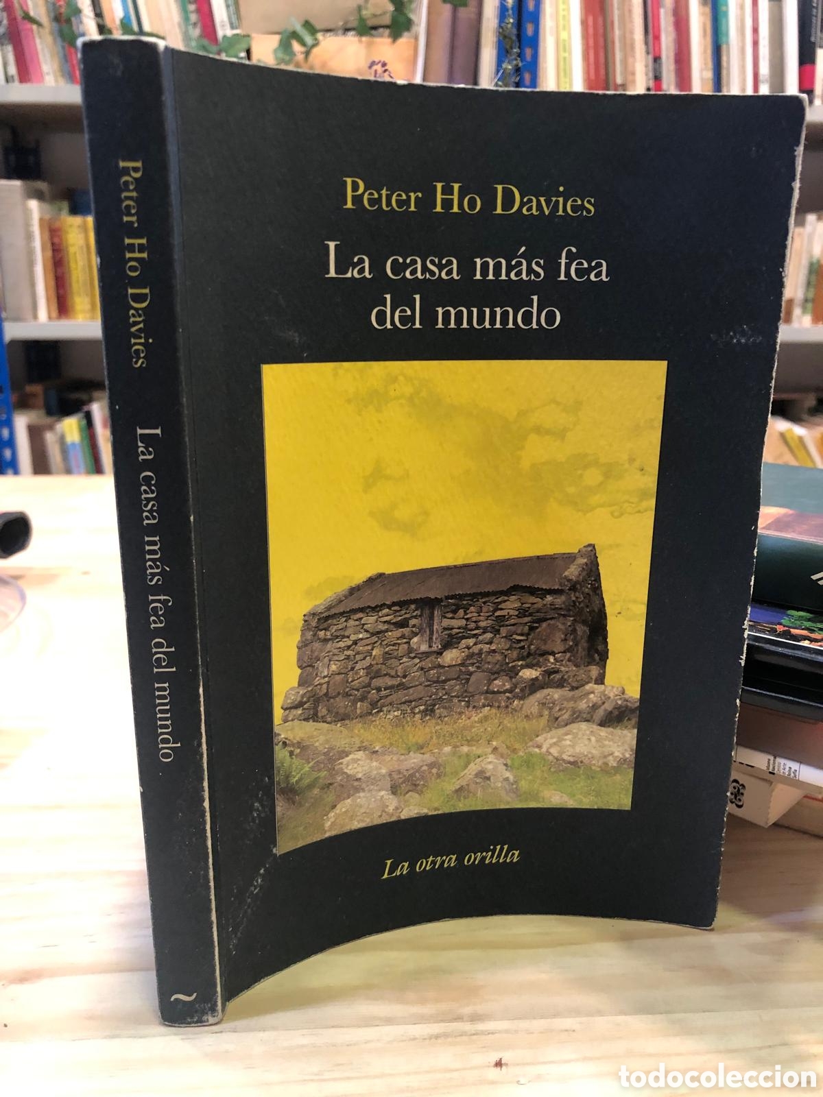 Libros de segunda mano: La casa m&aacute;s fea del mundo - Peter Ho Davies