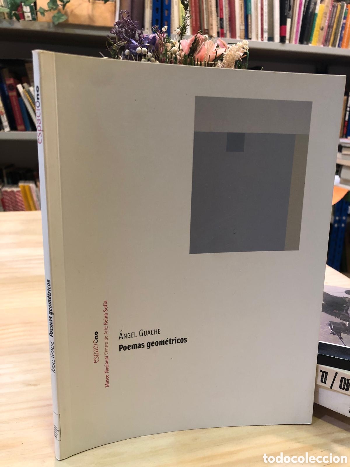 Libros de segunda mano: Poemas geom&eacute;tricos - Angel Guache