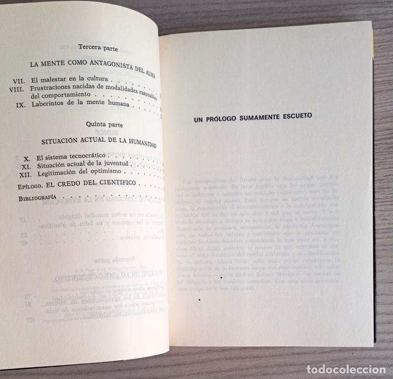 Libros de segunda mano: DECADENCIA DE LO HUMANO - KONRAD LORENZ - Foto 3