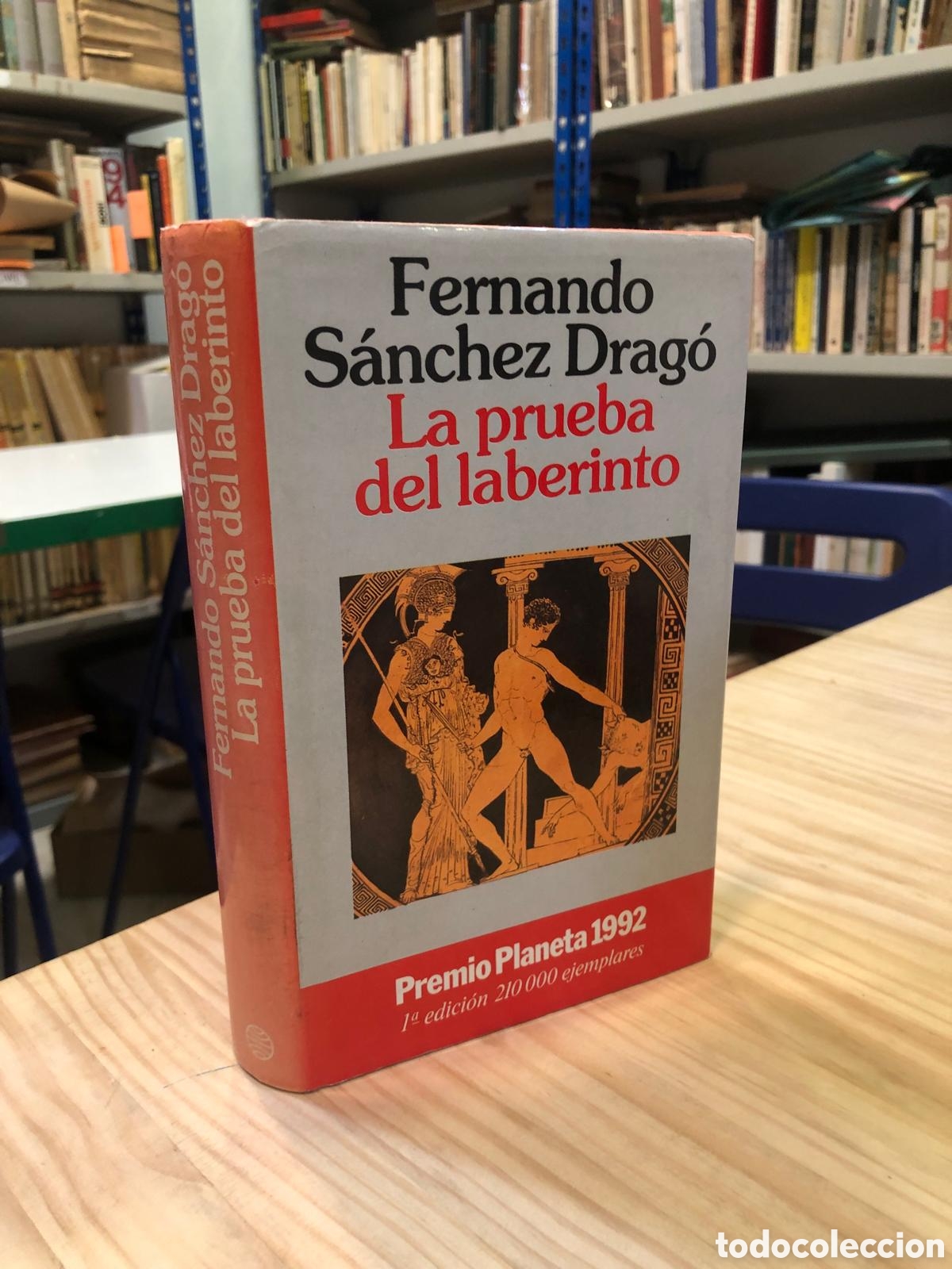 Livres d'occasion: La prueba del laberinto - Fernando S&aacute;nchez Drag&oacute;