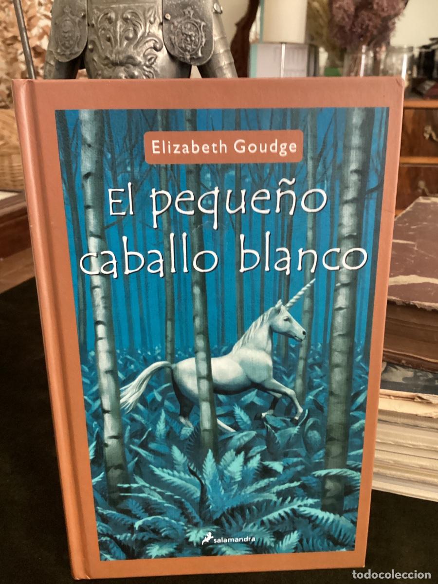 Libros de segunda mano: EL PEQUE&Ntilde;O CABALLO BLANCO - Goudge,Elizabeth. SALAMANDRA 1&ordf; EDICI&Oacute;N 2004.