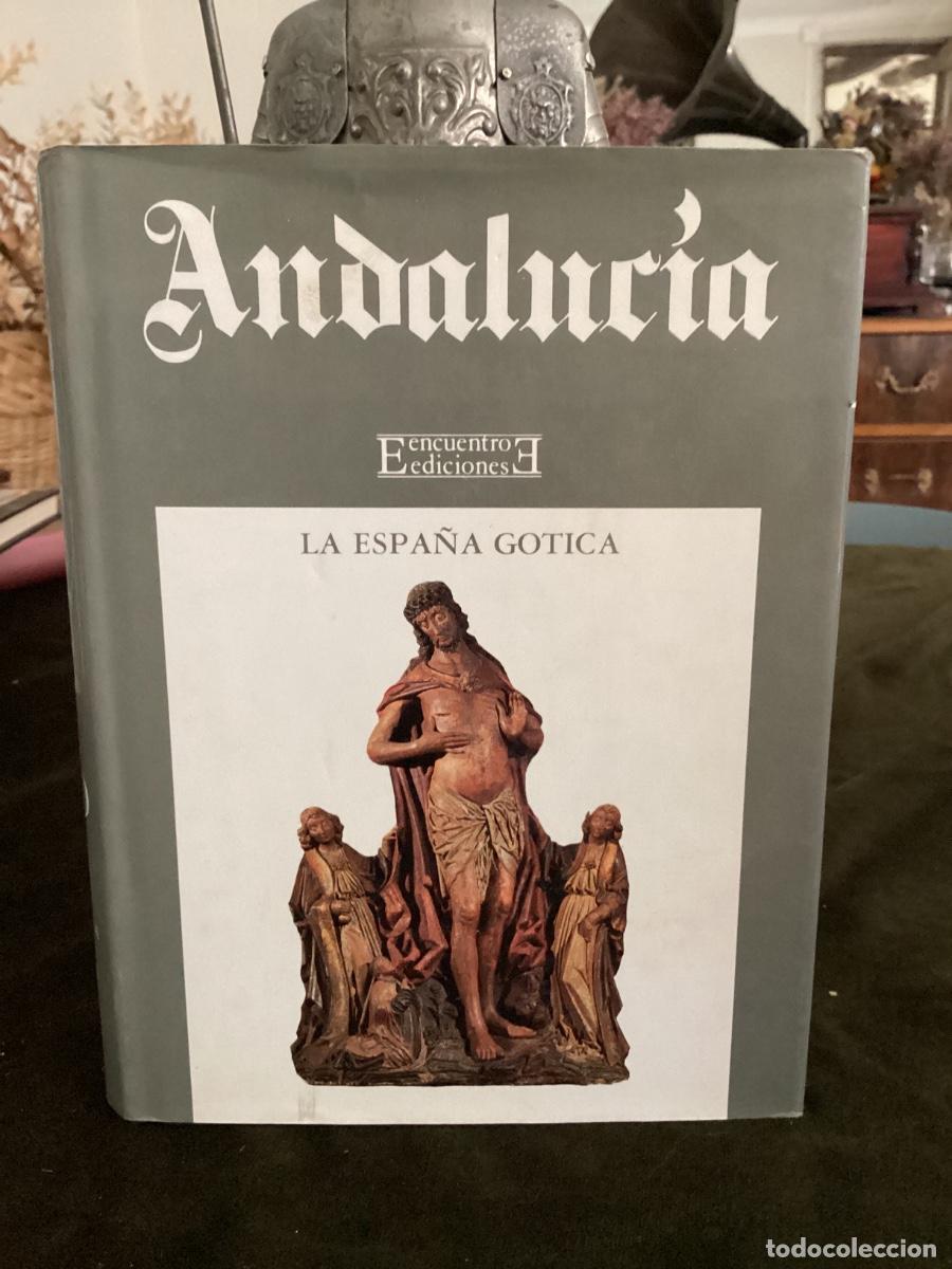 Libros de segunda mano: LA ESPA&Ntilde;A GOTICA. ANDALUCIA. EDICIONES ENCUENTRO. VOLUMEN 11. 1992.