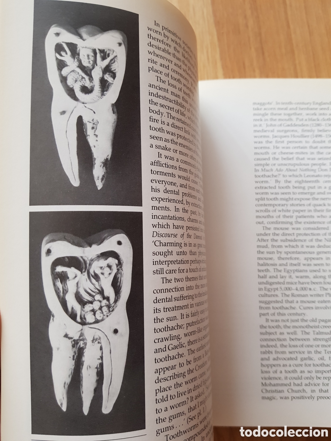 Libros de segunda mano: Antique Dental Instruments &ndash; Elisabeth Bennion - Foto 4