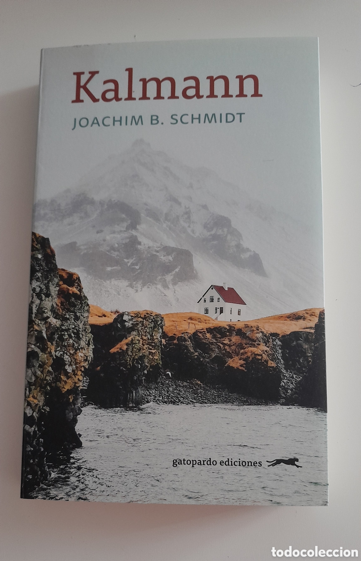 Libros de segunda mano: KALMANN. JOACHIM B. SCHMIDT. GATOPARDO EDICIONES