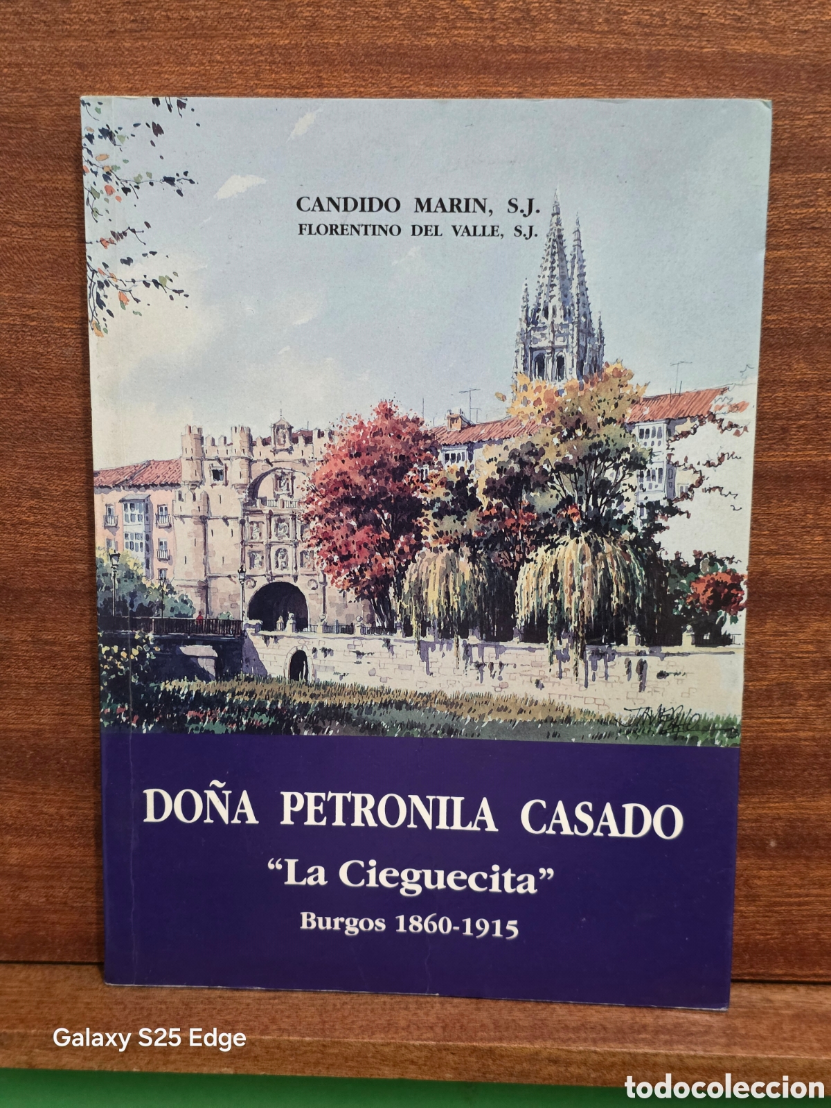 Libros de segunda mano: &rdquo;&rdquo;DO&Ntilde;A PETRONILA CASADO &rdquo;LA CIEGUECITA&rdquo;&rdquo;&rdquo;...BURGOS...1860-1915...C&Agrave;NDIDO MARIN, S.J...1994...