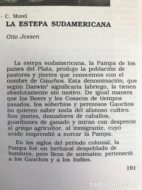 Libros de segunda mano: Gauchos - Gabriel Taboada - Ed TEA 1992 - Foto 4