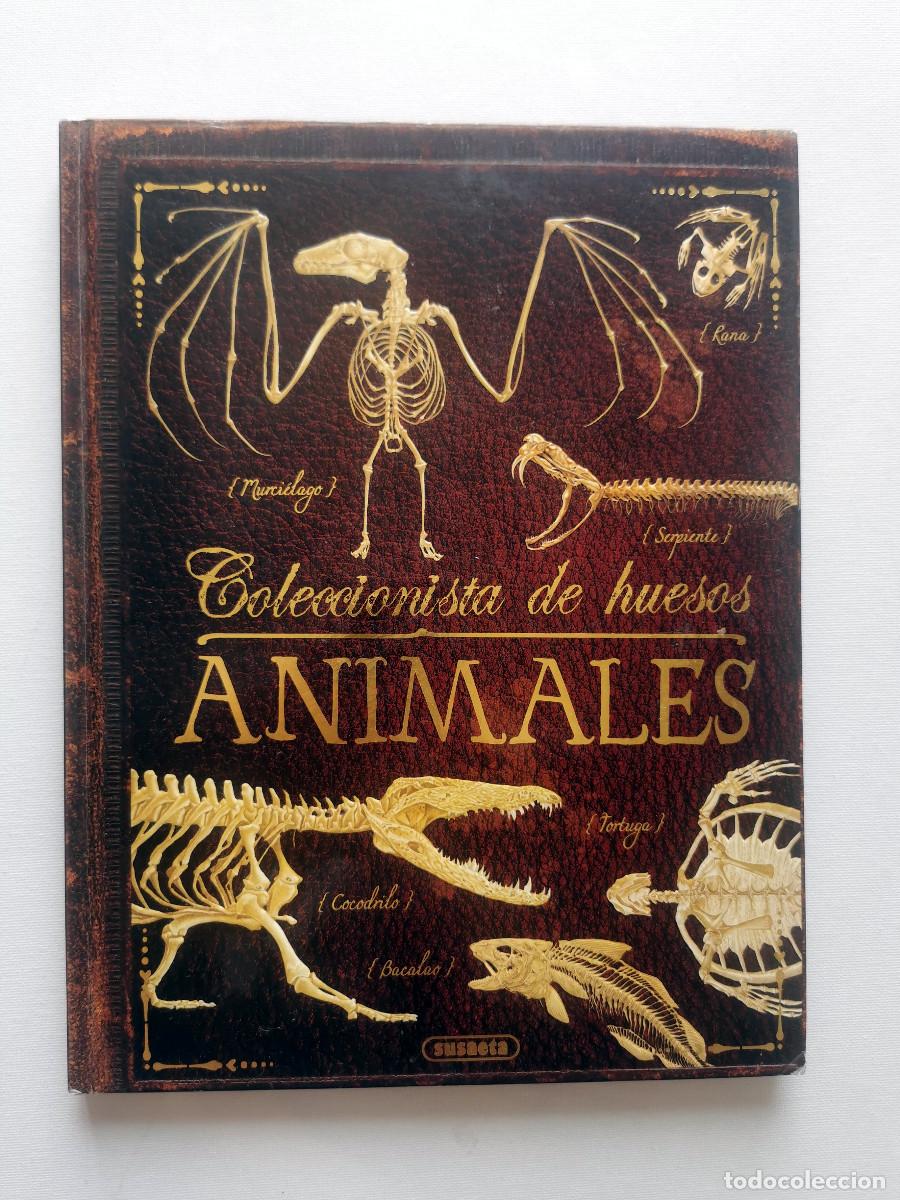 Libros de segunda mano: Coleccionista de huesos animales. Rob Colson