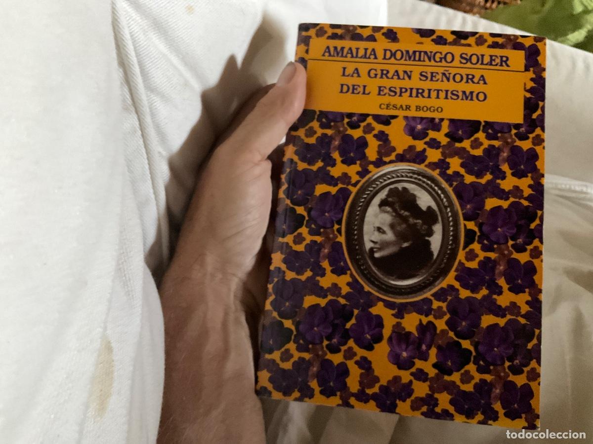 Libros de segunda mano: Amalia Domingo Soler. La gran se&ntilde;ora del espiritismo / C&eacute;sar Bogo