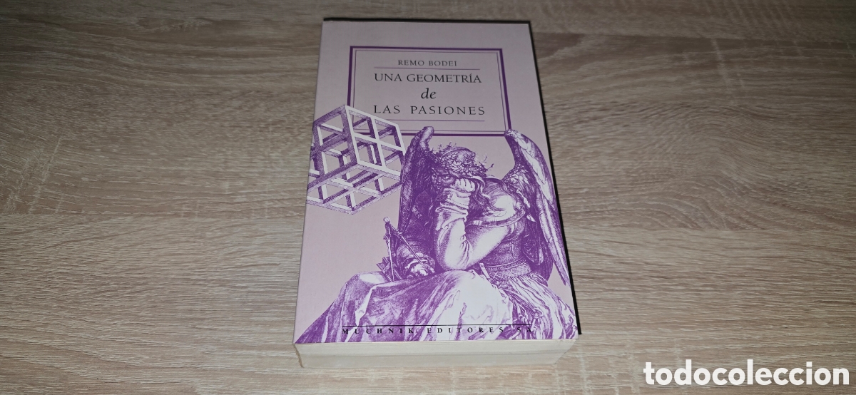 Libros de segunda mano: UNA GEOMETRIA DE LAS PASIONES . REMO BODEI . 1995 - Foto 1