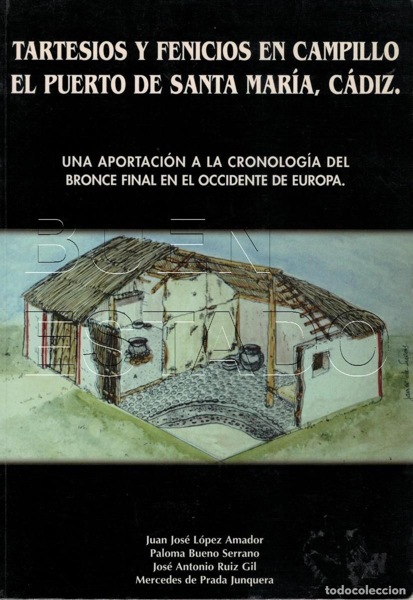 Libros de segunda mano: TARTESIOS Y FENICIOS EN CAMPILLO EL PUERTO DE SANTA MARIA CADIZ 190PGS TAPA BLANDA U96