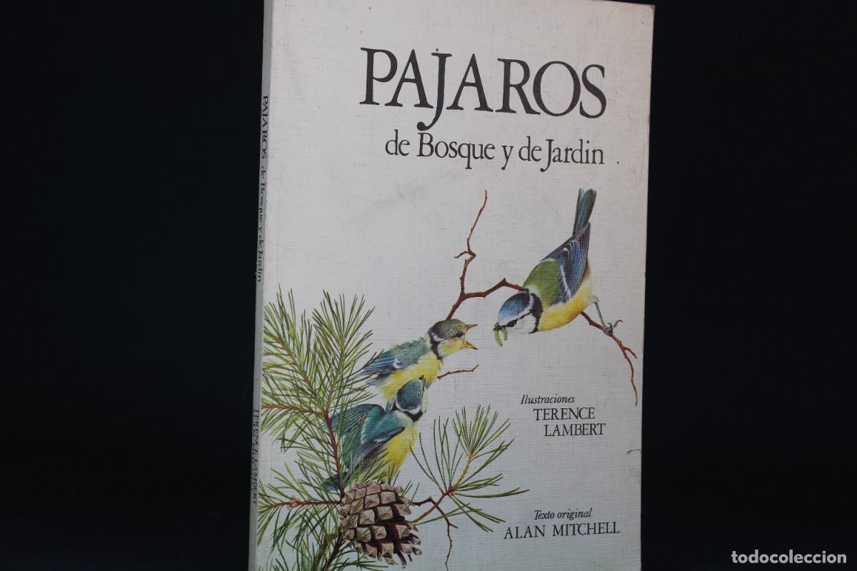 Libros de segunda mano: PAJAROS DE BOSQUE Y DE JARDIN - Foto 1