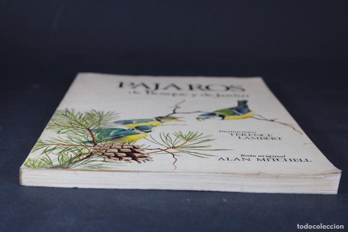 Libros de segunda mano: PAJAROS DE BOSQUE Y DE JARDIN - Foto 2
