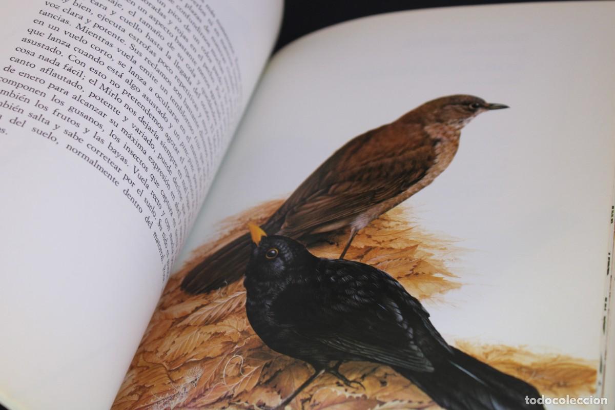 Libros de segunda mano: PAJAROS DE BOSQUE Y DE JARDIN - Foto 3